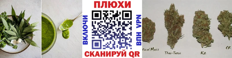 blacksprut ТОР Прохладный Еда ТГК марихуана
