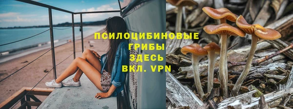 герыч Алзамай