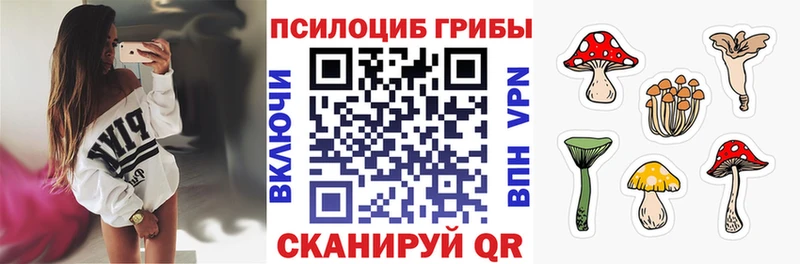 kraken зеркало  наркошоп  Прохладный  Галлюциногенные грибы Magic Shrooms 