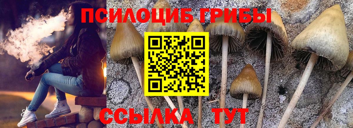 Галлюциногенные грибы Magic Shrooms  Вход с VPN  Прохладный 