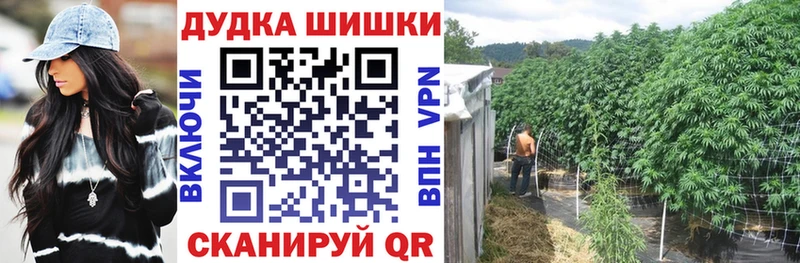 Бошки Шишки VHQ Прохладный